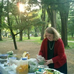 Central Park Picnic